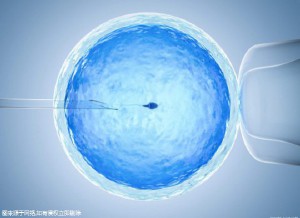 供卵代怀代生机构